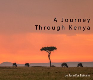 A Journey through Kenya book cover