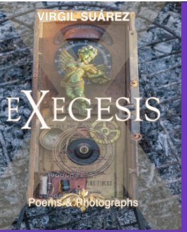 Exegesis book cover