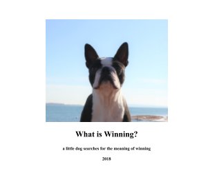 What is Winning? book cover