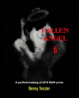 2018 - Fallen Angel 6 book cover