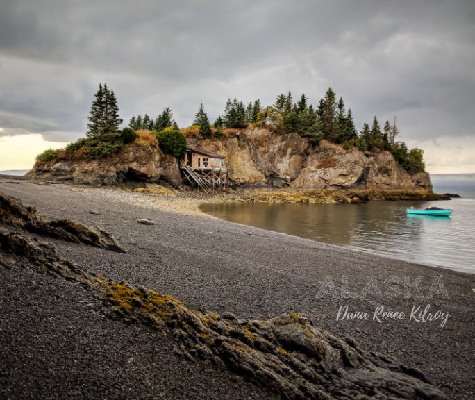 View Alaska by Dana Renee Kilroy