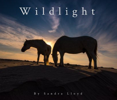Wildlight book cover