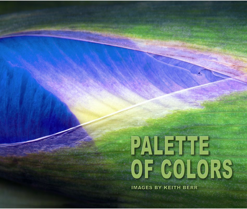 View Palette Of Colors by Keith Berr