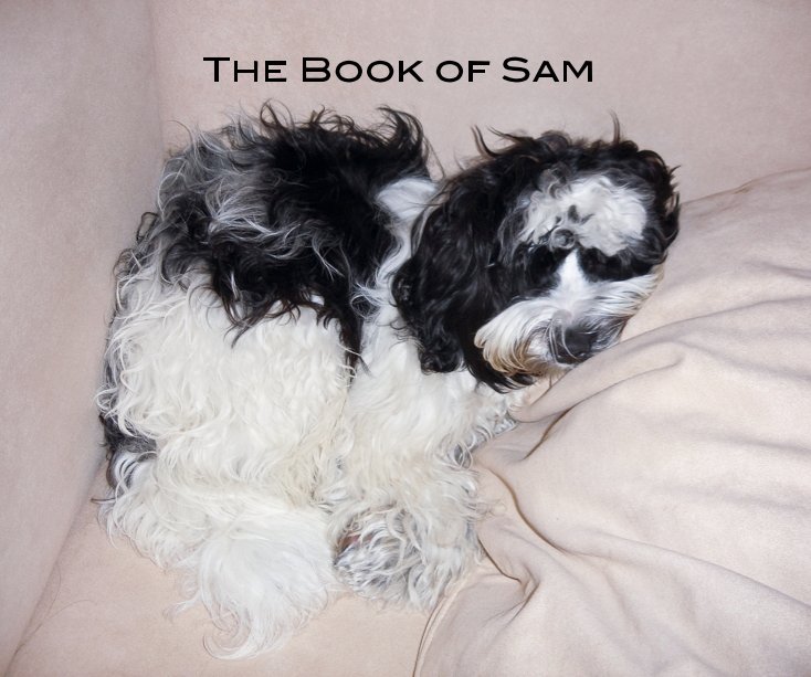 Visualizza The Book of Sam di willynilly