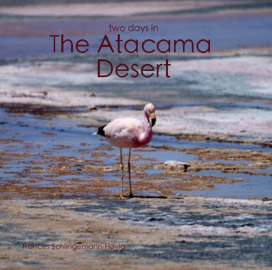 two days in The Atacama Desert book cover