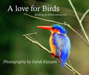 A Love of Birds book cover