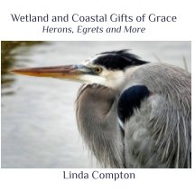 Wetland and Coastal Gifts of Grace book cover