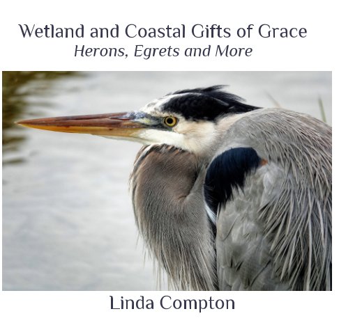 View Wetland and Coastal Gifts of Grace by Linda Compton