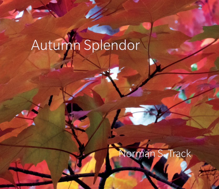 View Autumn Splendor by Norman S. Track