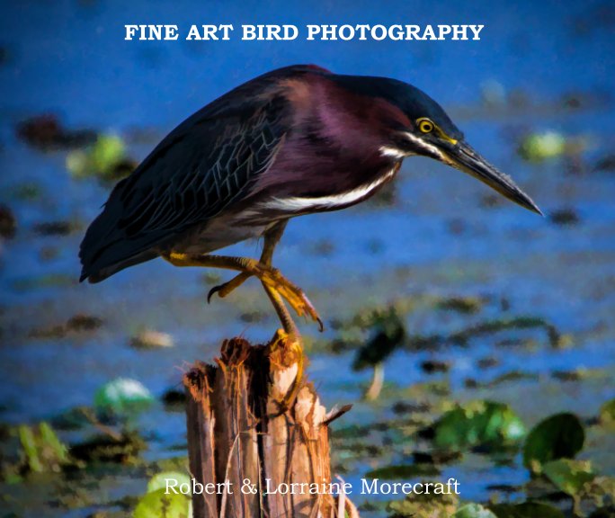 Fine Art Bird Photography v2 nach Robert Morecraft anzeigen