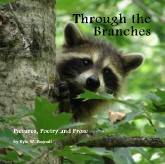 Through the Branches book cover