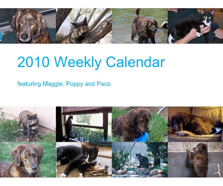 View 2010 Weekly Calendar by Julie Coningham