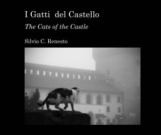 I Gatti del Castello book cover