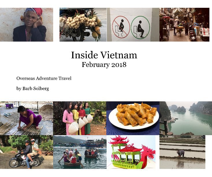 View Inside Vietnam February 2018 by Barb Solberg