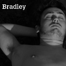 Bradley book cover