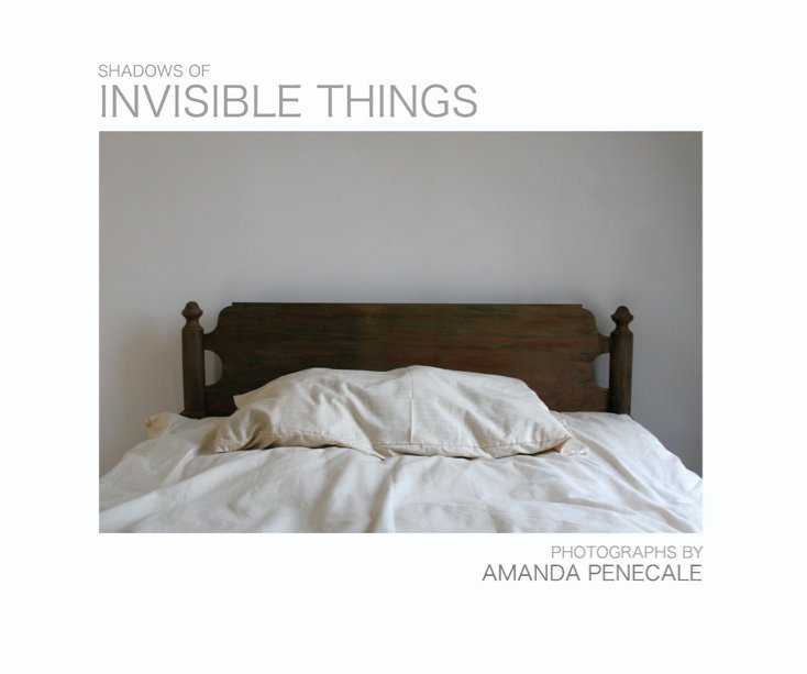 View Shadows of Invisible Things by Amanda Penecale