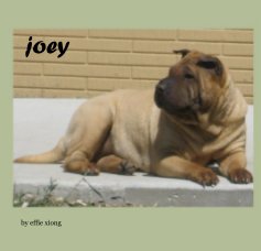 joey book cover