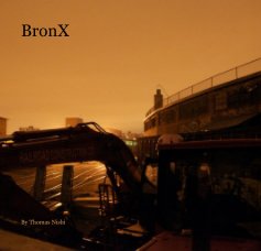 BronX book cover