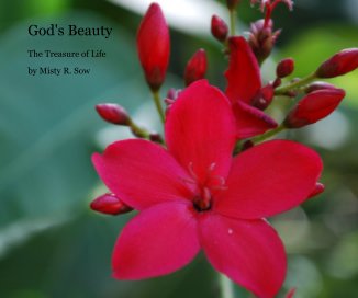 God's Beauty book cover