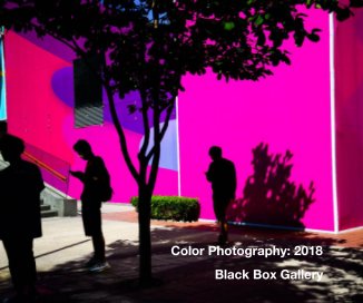 Color Photography: 2018 book cover