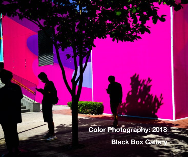 Bekijk Color Photography: 2018 op Black Box Gallery