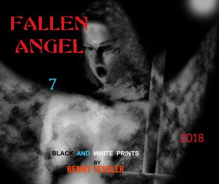 2018 - Fallen Angel 7 book cover