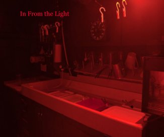 In From the Light book cover