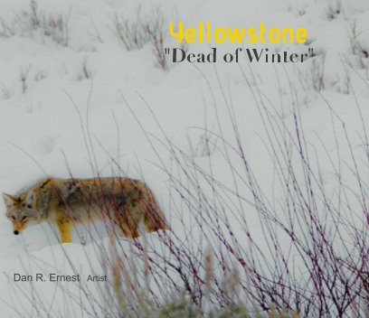 YellowStone book cover
