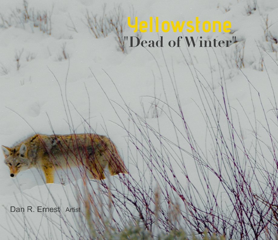 View YellowStone by Dan R. Ernest