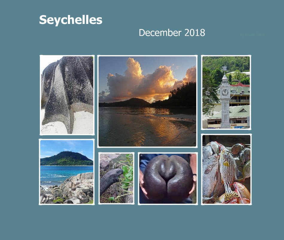 View Seychelles by Ursula Jacob