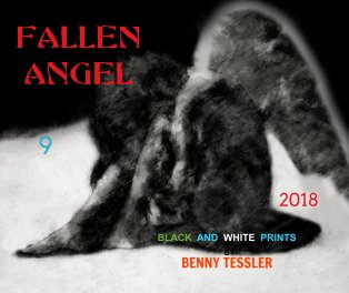 2018 - Fallen Angel 9 book cover