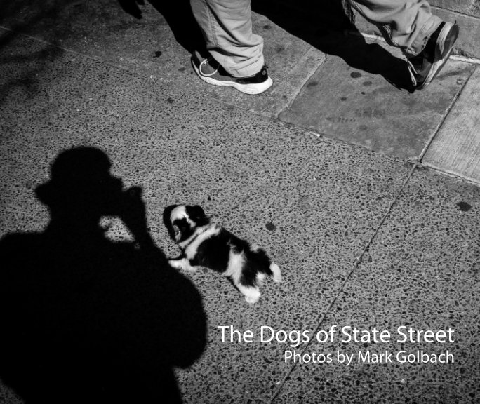 View The Dogs of State Street by Mark Golbach