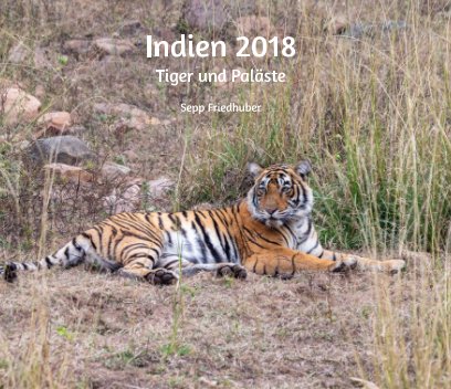 Indien 2018 book cover