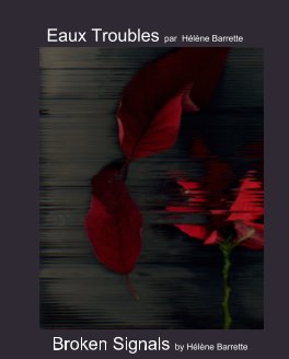 Eaux Troubles book cover
