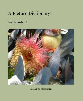 A Picture Dictionary book cover