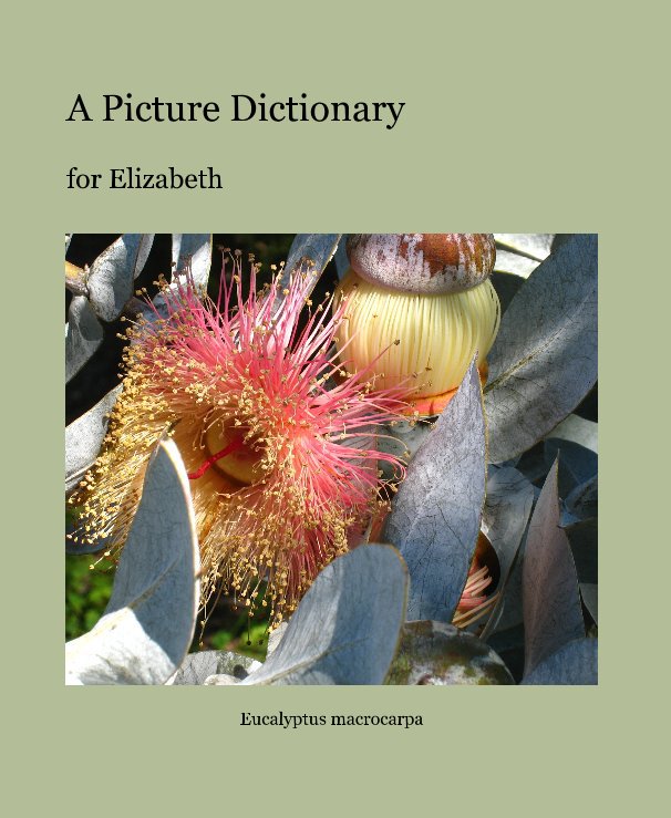 View A Picture Dictionary by MargaretsFA