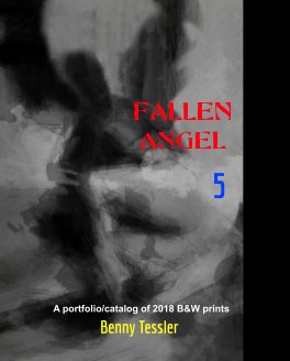 2018 - Fallen Angel 5 book cover