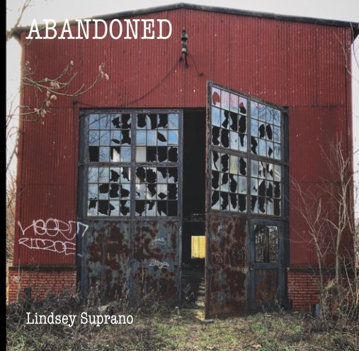 Ver Abandoned por Lindsey Suprano