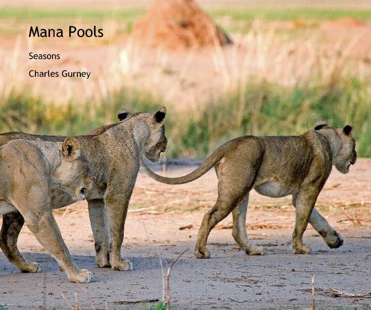 View Mana Pools by Charles Gurney