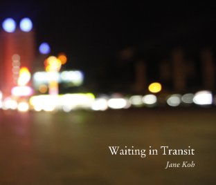 Waiting in Transit book cover