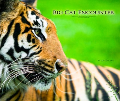 Big Cat Encounter book cover