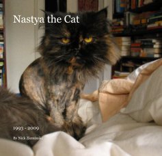 Nastya the Cat book cover