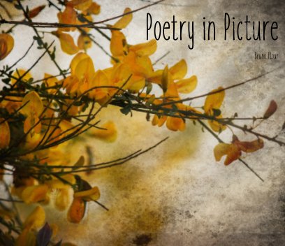 Poetry in Picture book cover