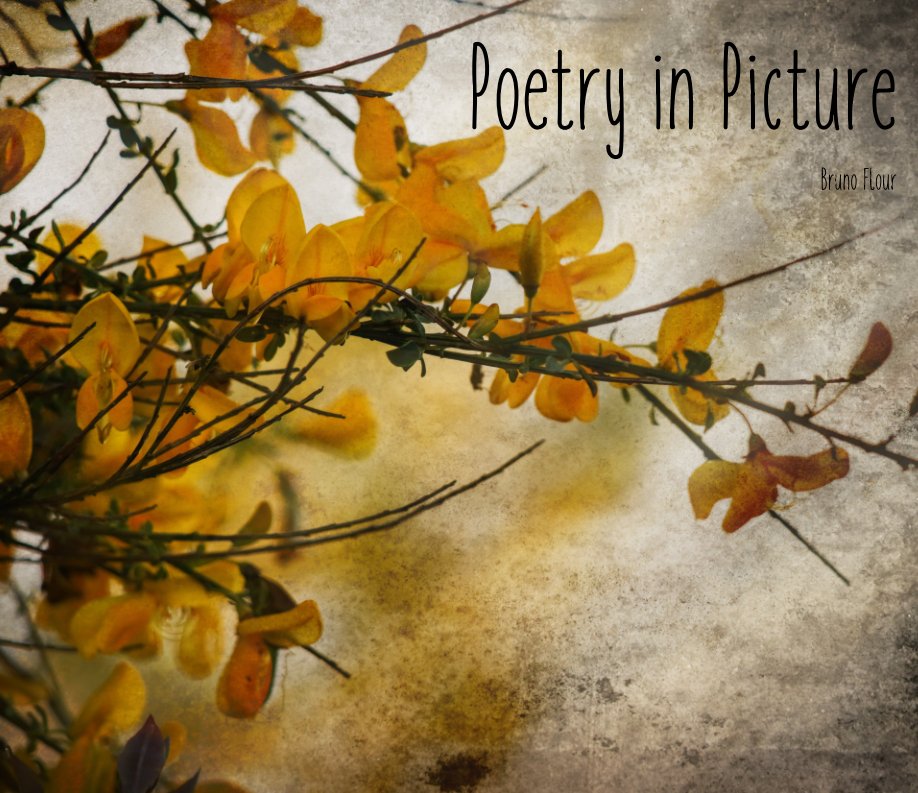 Ver Poetry in Picture por Bruno Flour