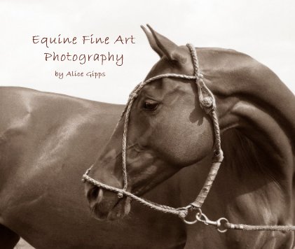 Equine Fine Art Photography book cover