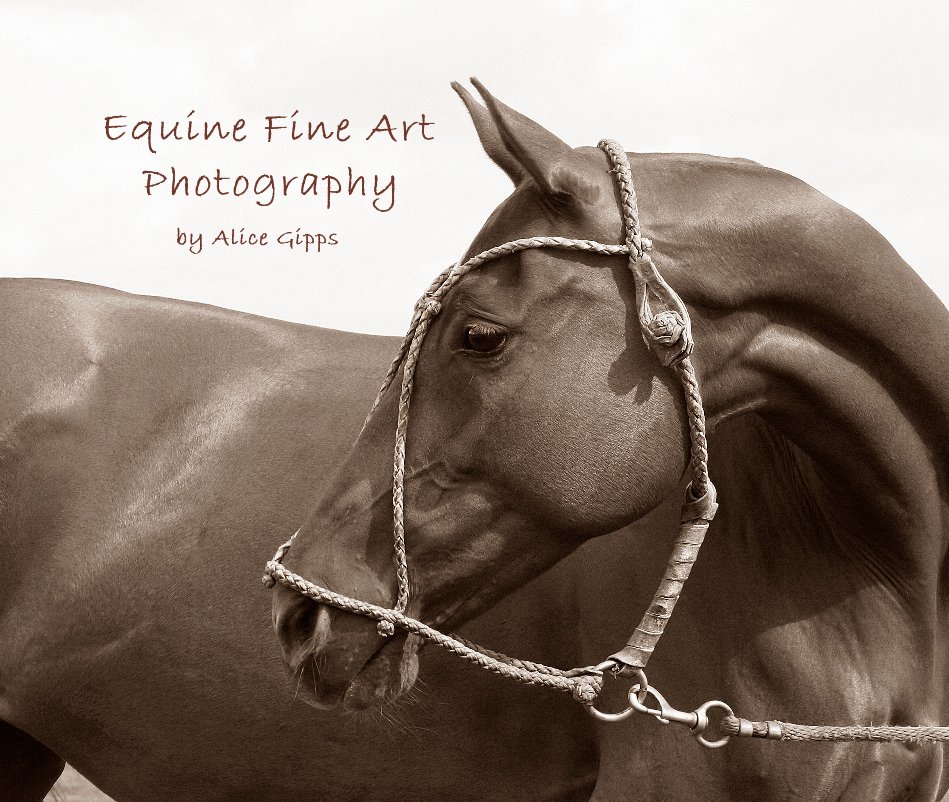 View Equine Fine Art Photography by Alice Gipps