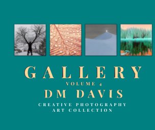 Gallery Volume 4 book cover