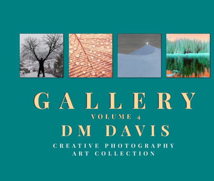 View Gallery Volume 4 by DM Davis