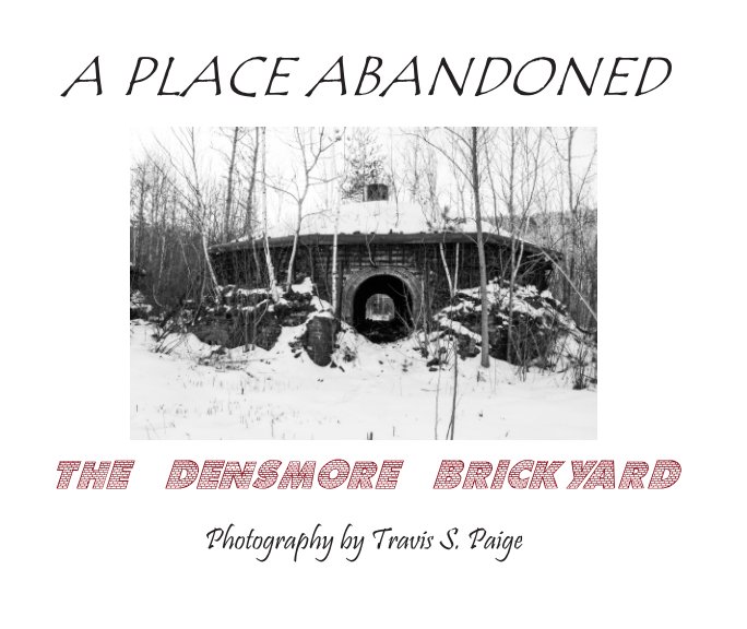 View A Place Abandoned - The Densmore Brickyard by Travis S. Paige