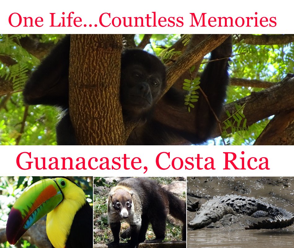 View One Life Countless Memories: Guanacaste, Costa Rica by Chris Shaffer